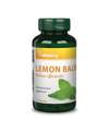 Lemongrass Leaf 500mg - 60